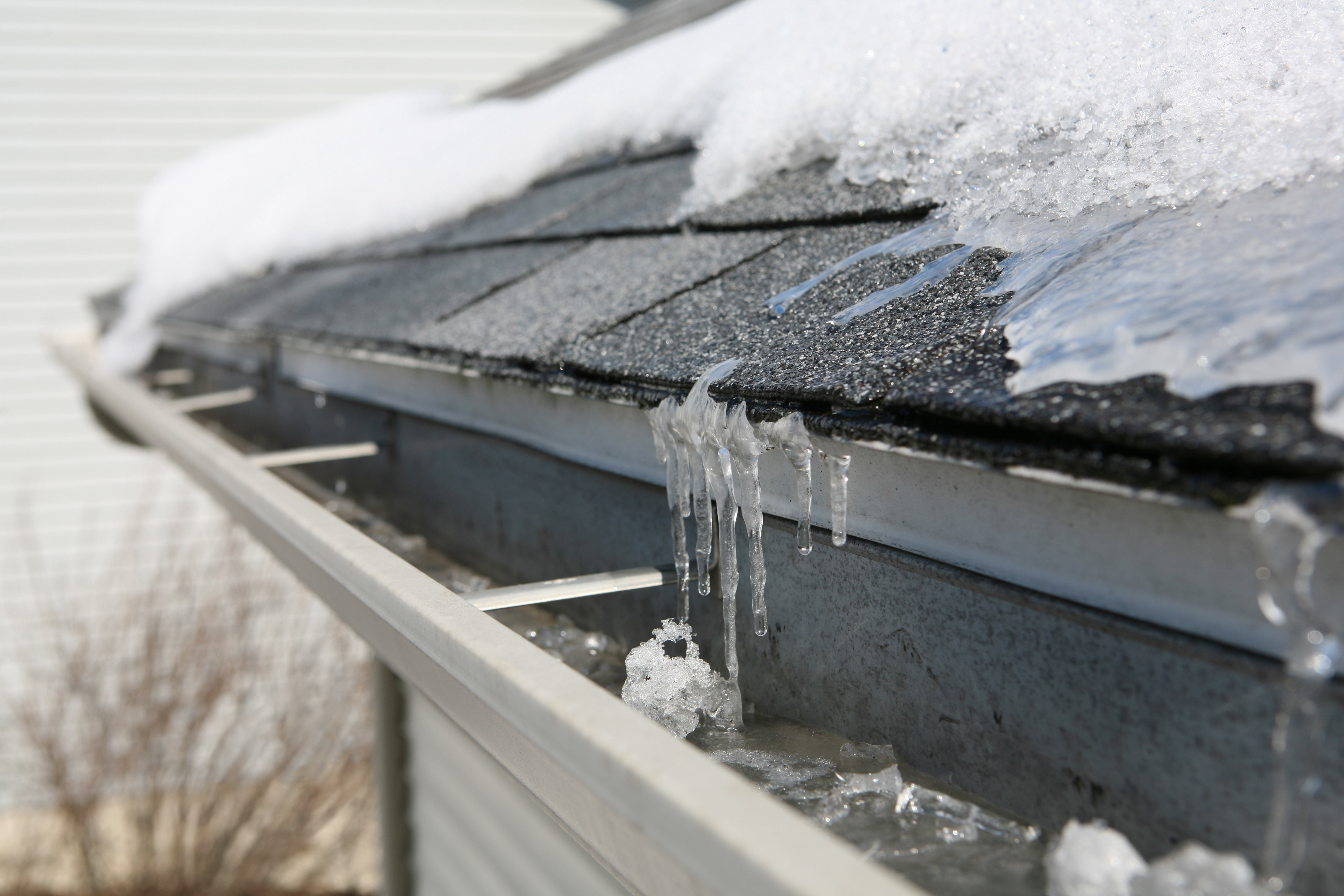 Water frozen underneath asphalt shingles from an ice dam.