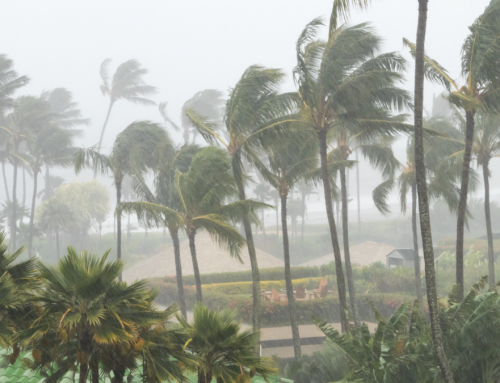 Busy Hurricane Season Predictions Prompts Sabel Adjusters To Open Additional Florida Office in Naples